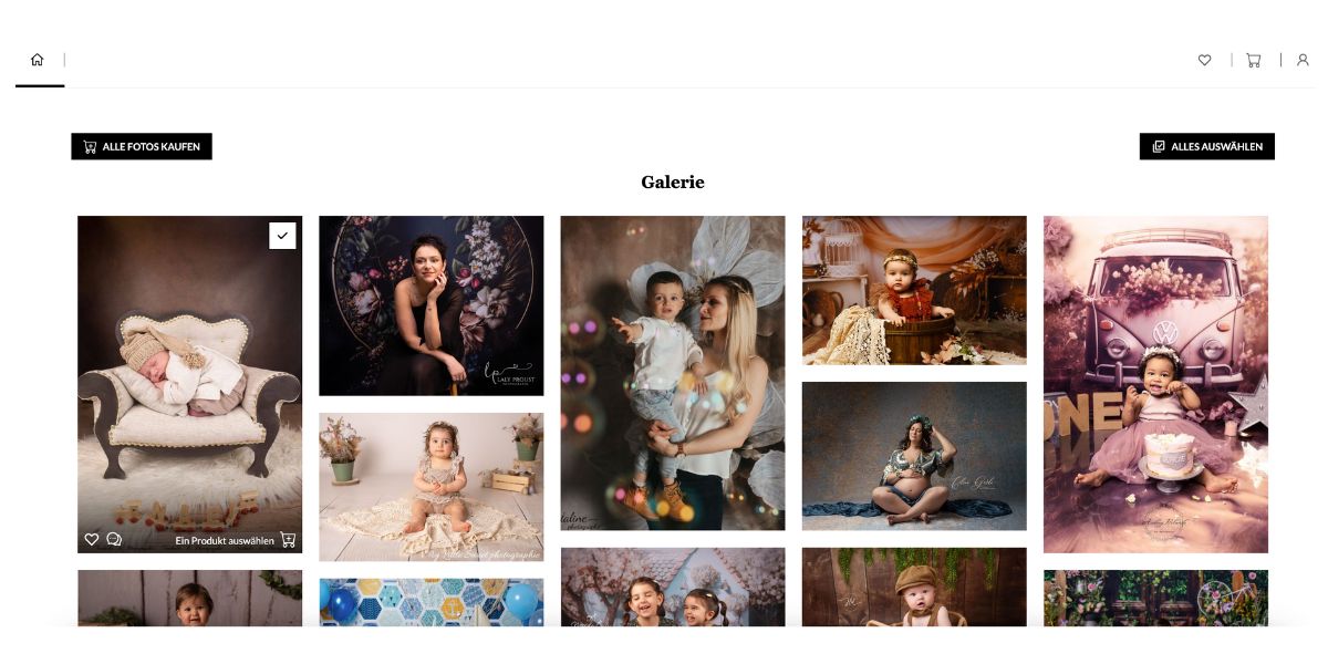 Fotostudio Kundengalerie Interface
